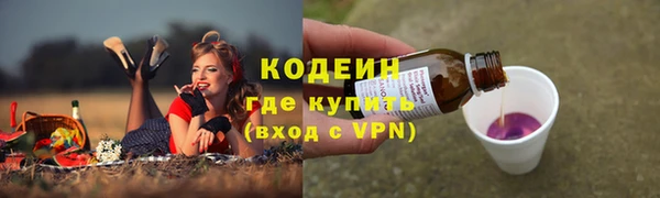 ешки Протвино