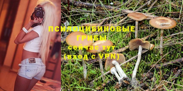 крисы Покровск