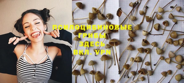 Альфа ПВП Пролетарск