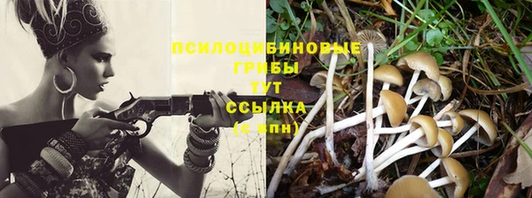 Альфа ПВП Пролетарск