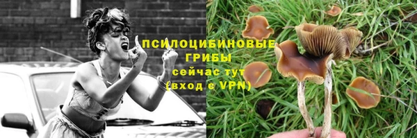 Альфа ПВП Пролетарск