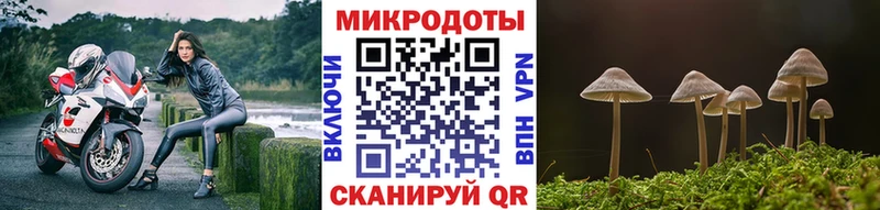 Псилоцибиновые грибы Cubensis  Купить закладки  Скопин 